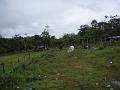 Colombia 2012 (14)